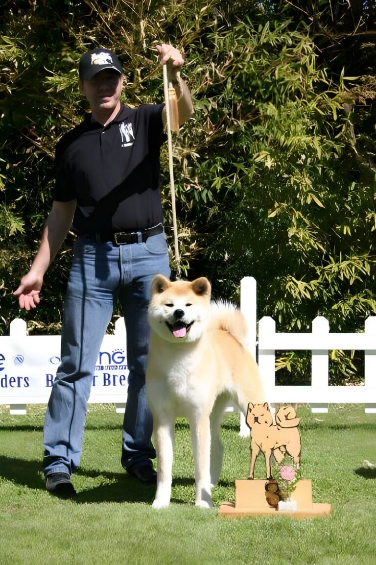 G'Seishin Go of Ikenohatade, Akita Inu, photo 23
