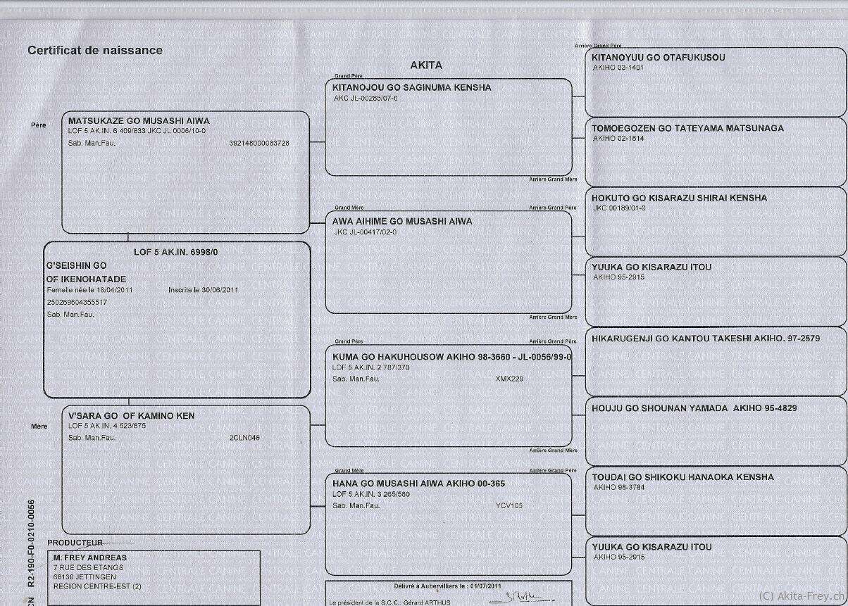 Pedigree de G'Seishin Go of Ikenohatade