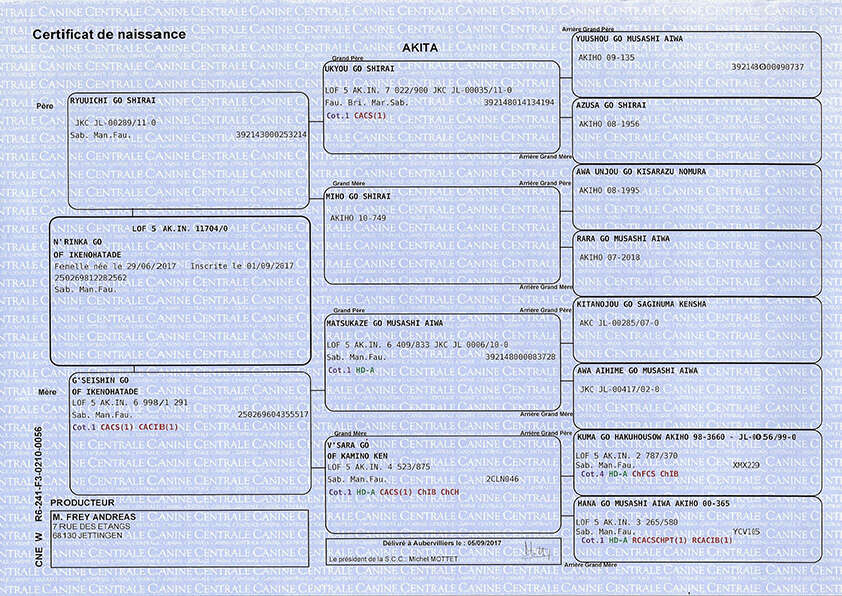 Pedigree of N'Rinka Go of Ikenohatade