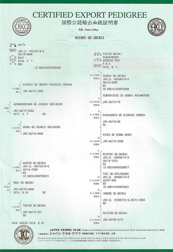 Pedigree of Daiden Go Shirai
