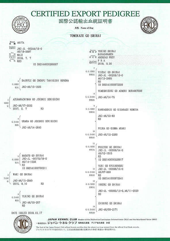 Pedigree of Tomokaze Go Shirai
